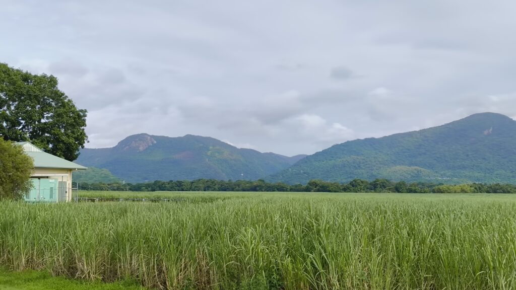 Kuranda Scenic Rail Cairns