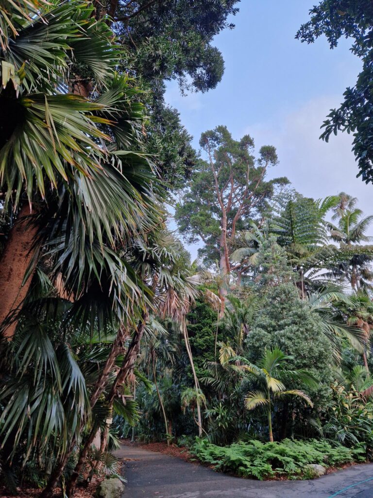 Sydney Botanischer Garten