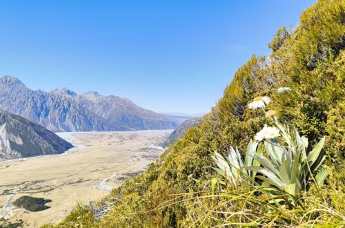 Mount Cook Valley