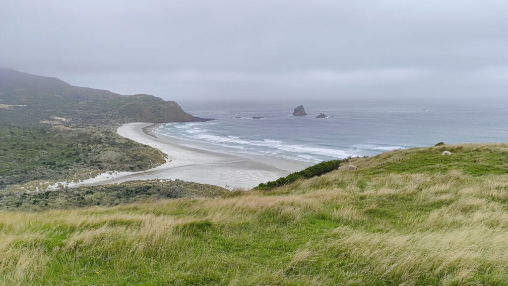 Otago Peninsula