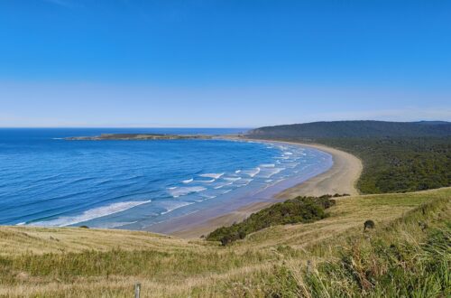 Catlins