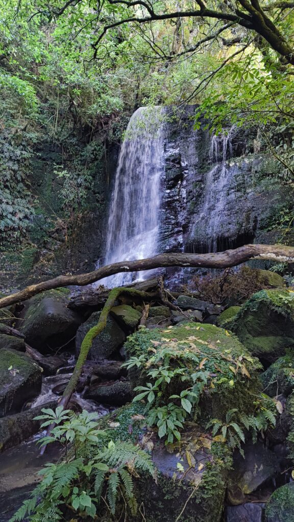 Maitai Falls