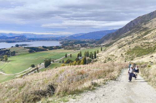 Roys Peak