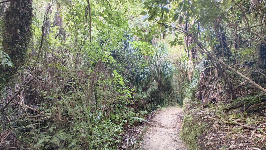 Abel Tasman Walk