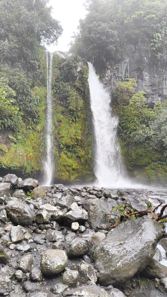 Taranaki Dawson Falls