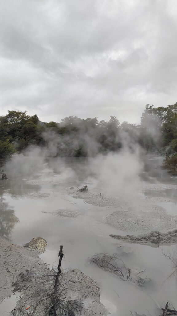 Rotorua Mud Pools