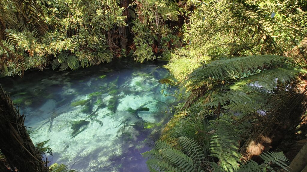 Potaruru Blue Spring