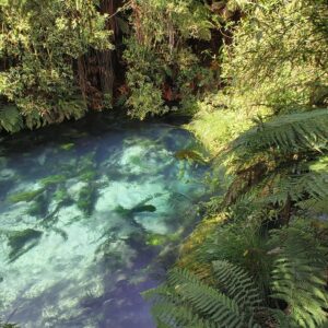 Potaruru Blue Spring