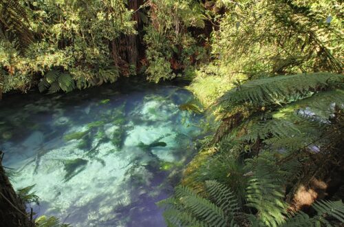 Potaruru Blue Spring
