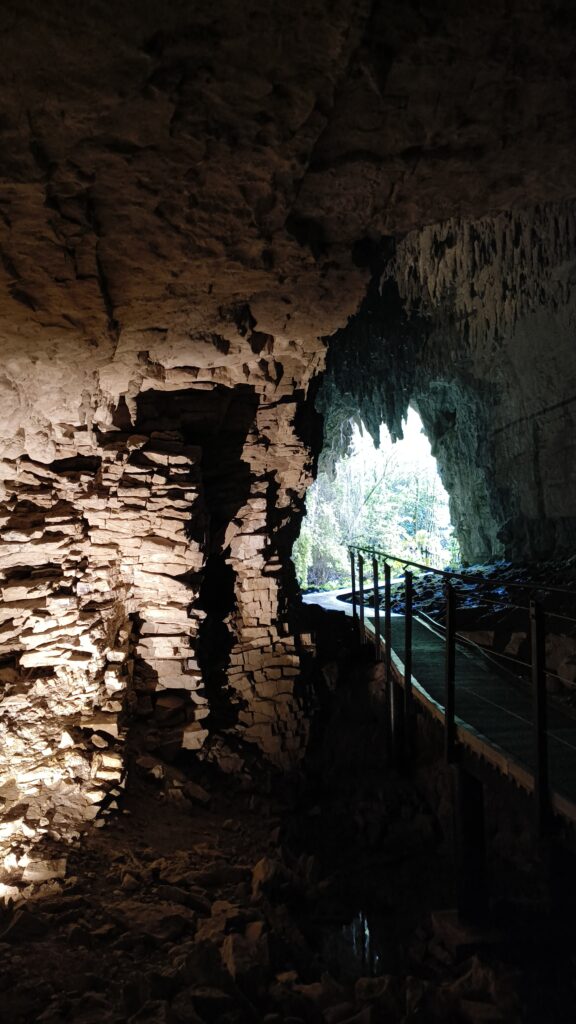 Waitomo Glowworm Caves
