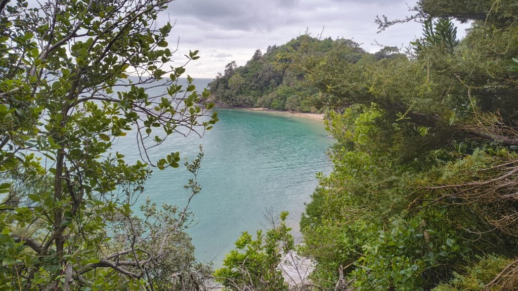 Whale Bay
