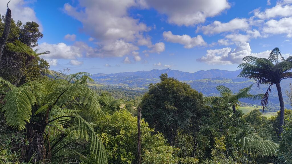 Waipoura Forest