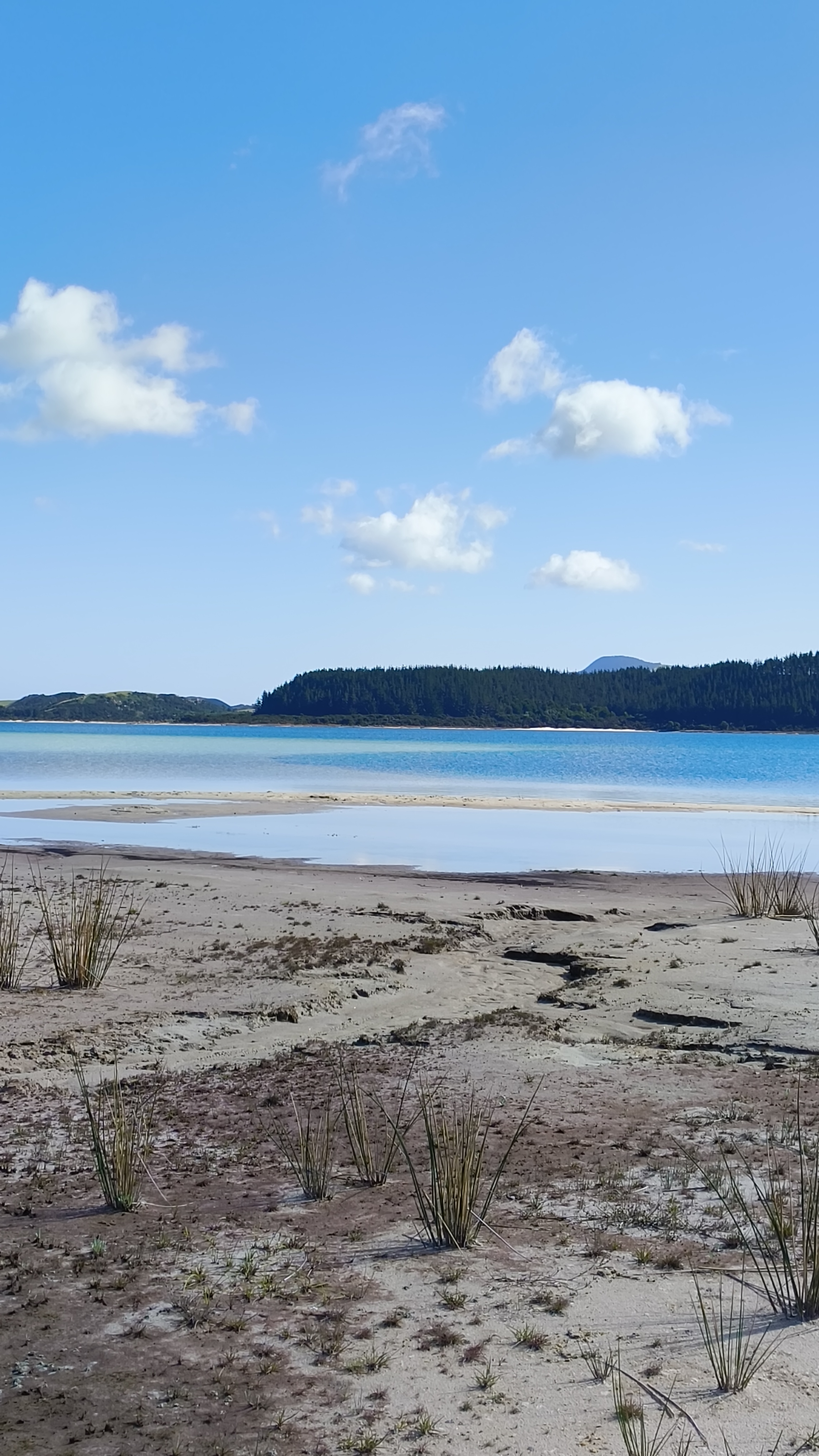 Kai Iwi Lakes