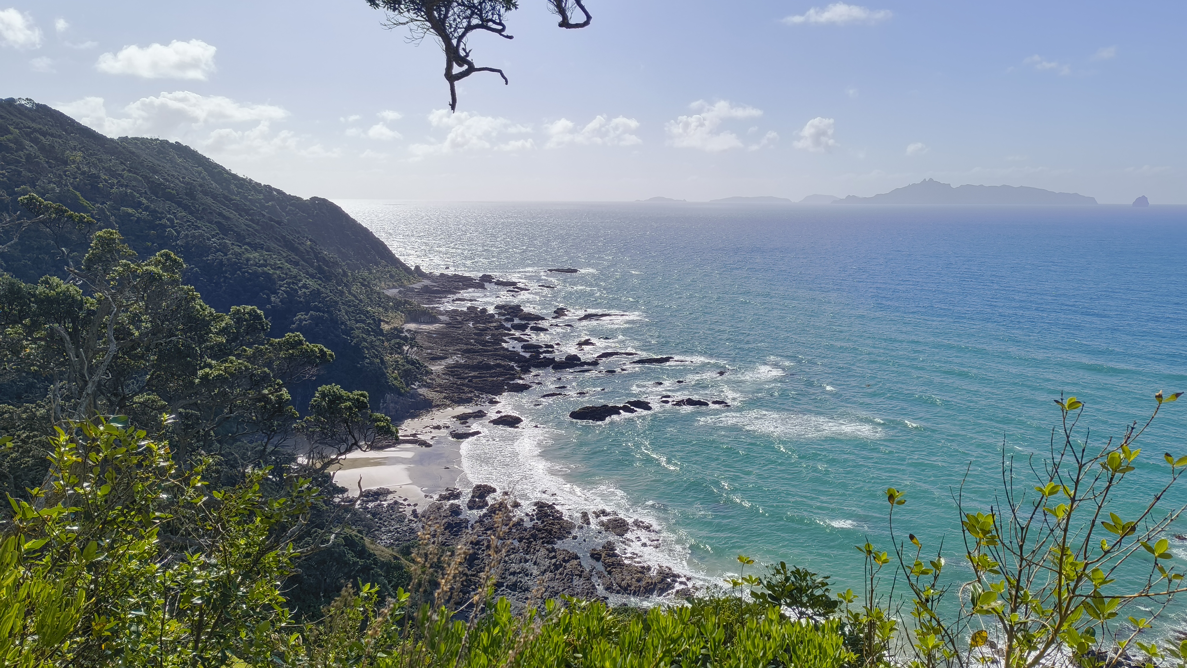 Coastal Walk Mangawhai
