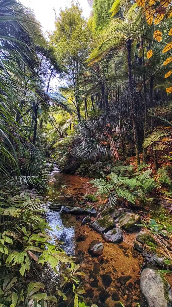 Mangawhai Wanderung