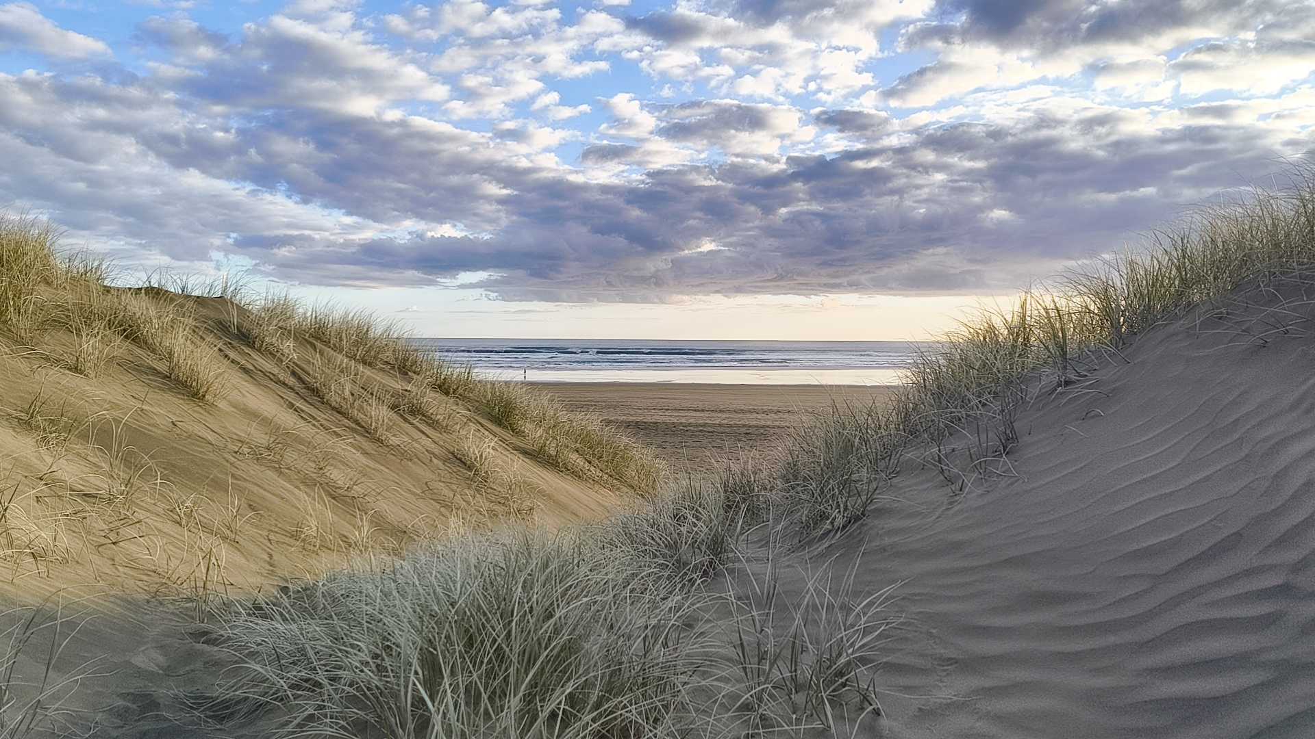Bethells Beach