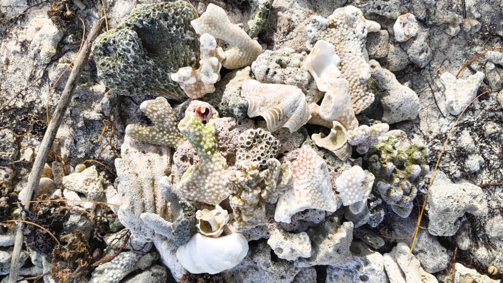 Korallenstrand Huahine