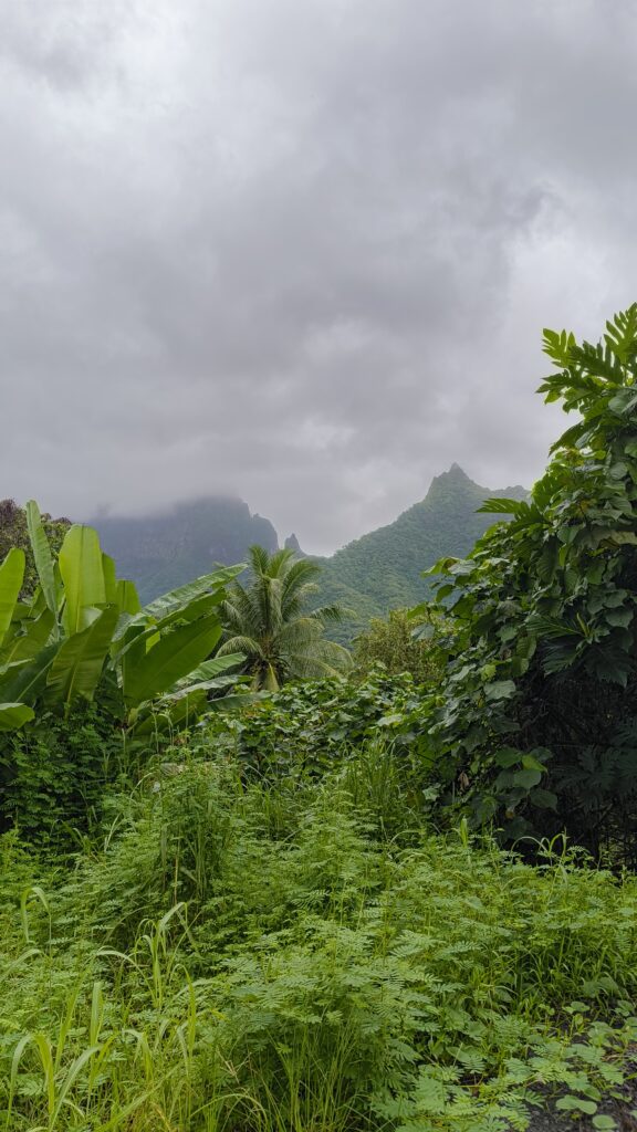 Raiatea Gebirge