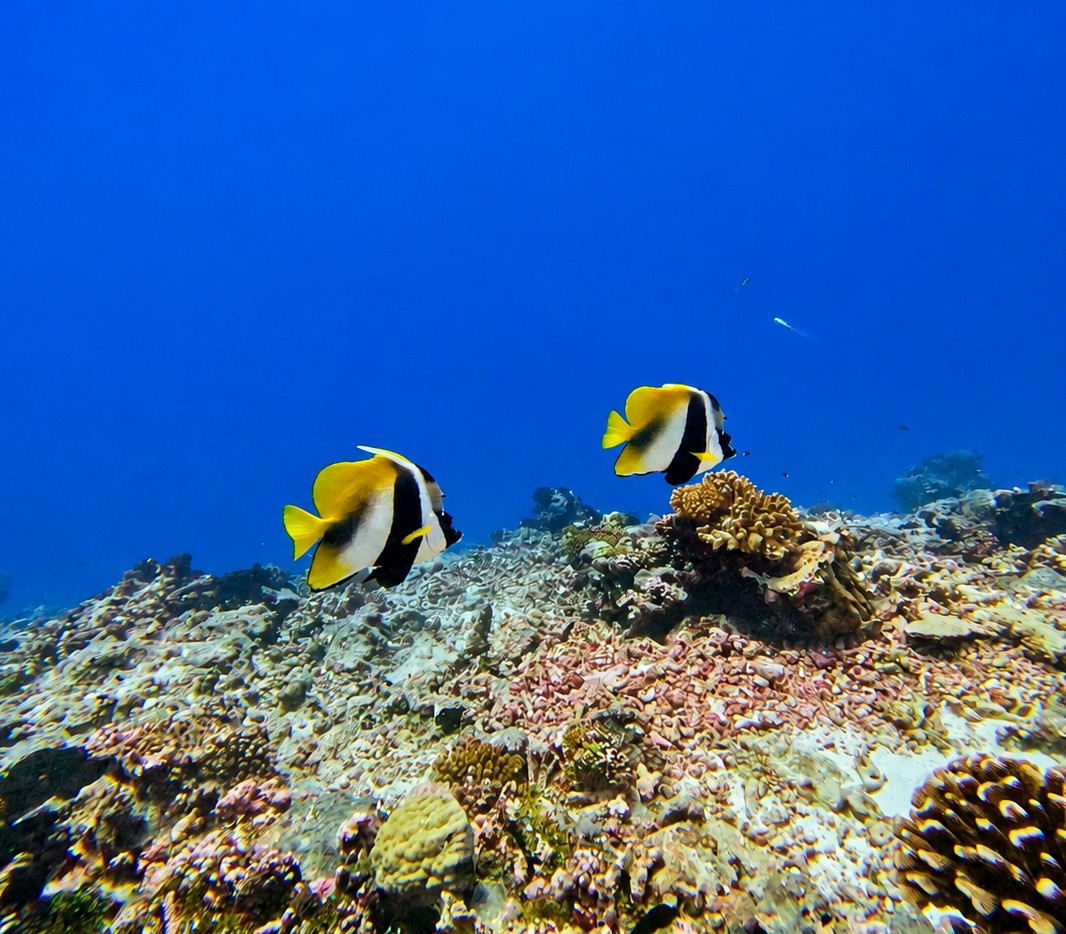 Rangiroa Tiputa Pass