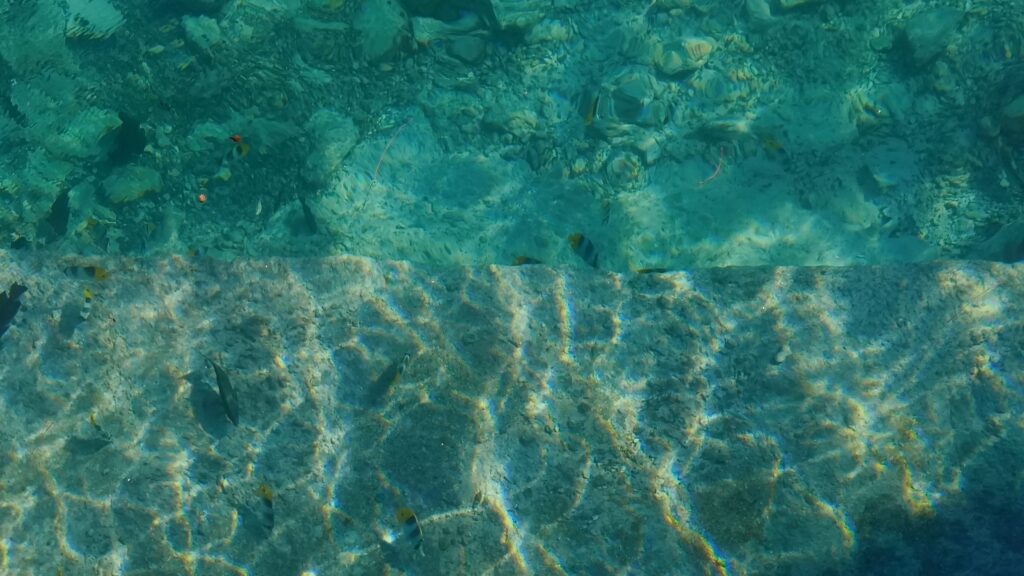 Rangiroa Fische