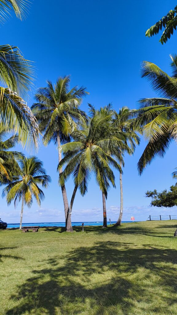 Mahana Park