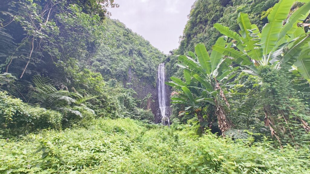 Wasserfall Tahiti