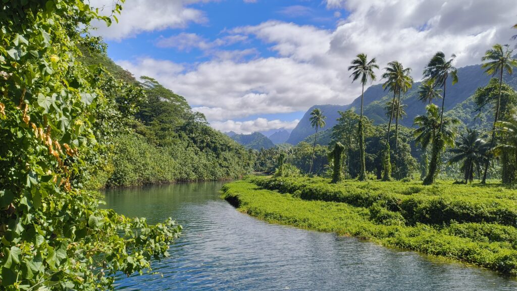 Tahiti Nui