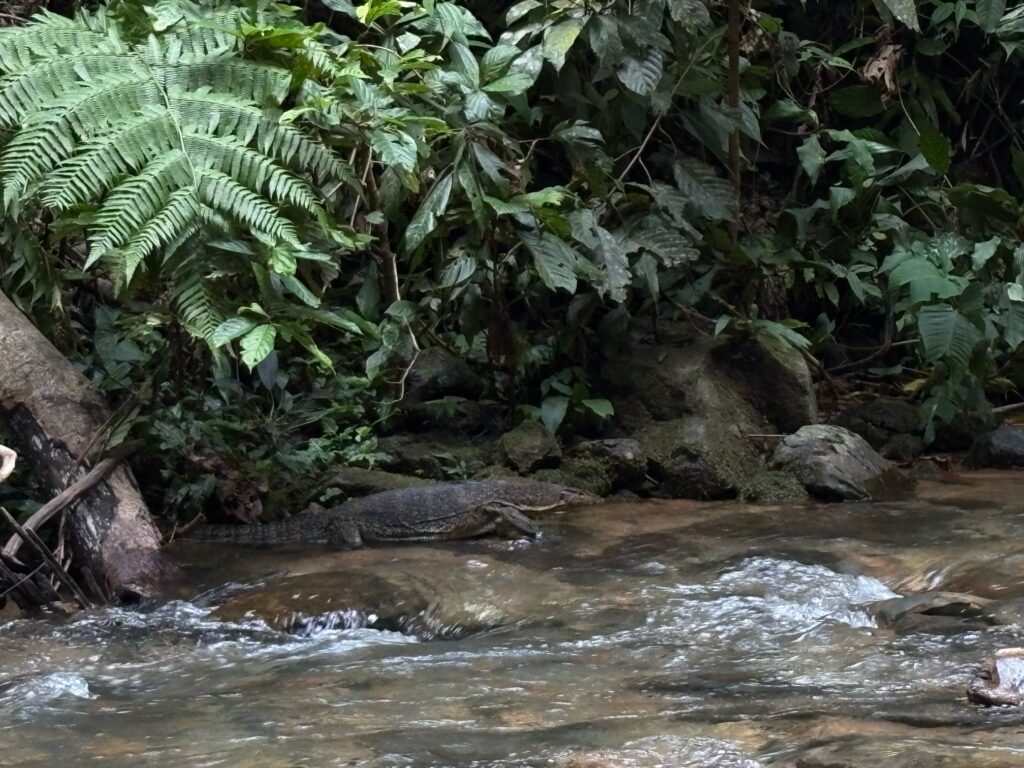 Leuser Nationalpark
