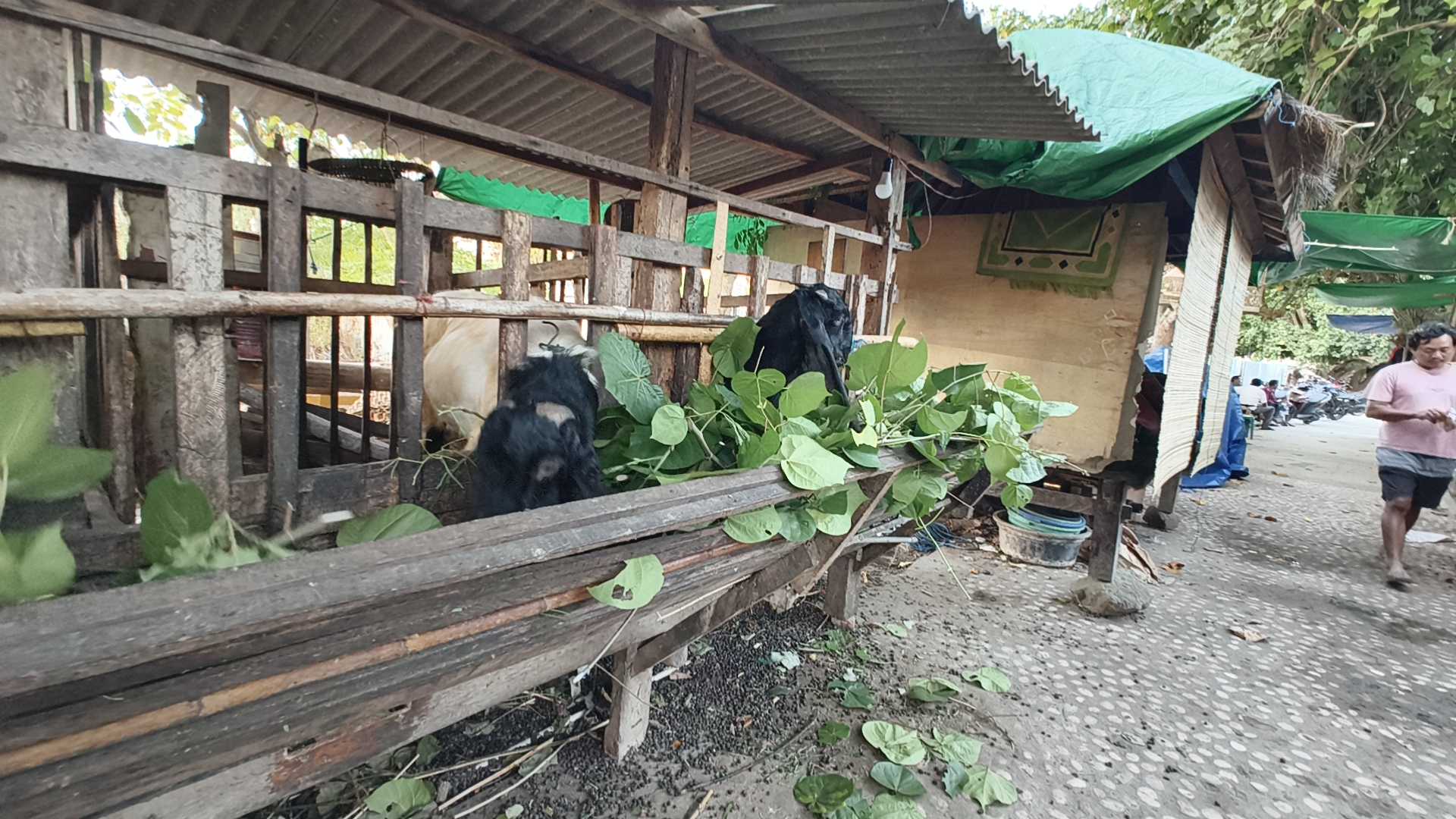 Kuta Lombok Promenade
