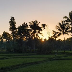 Lombok