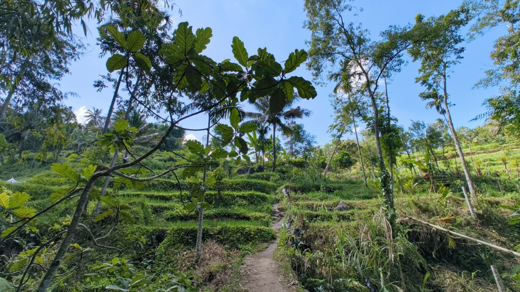 Durian Wasserfall