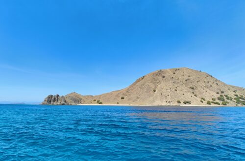 Flores Komodo
