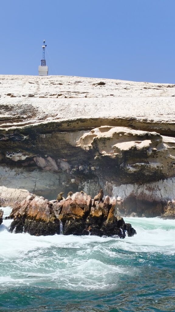 Paracas Bootstour