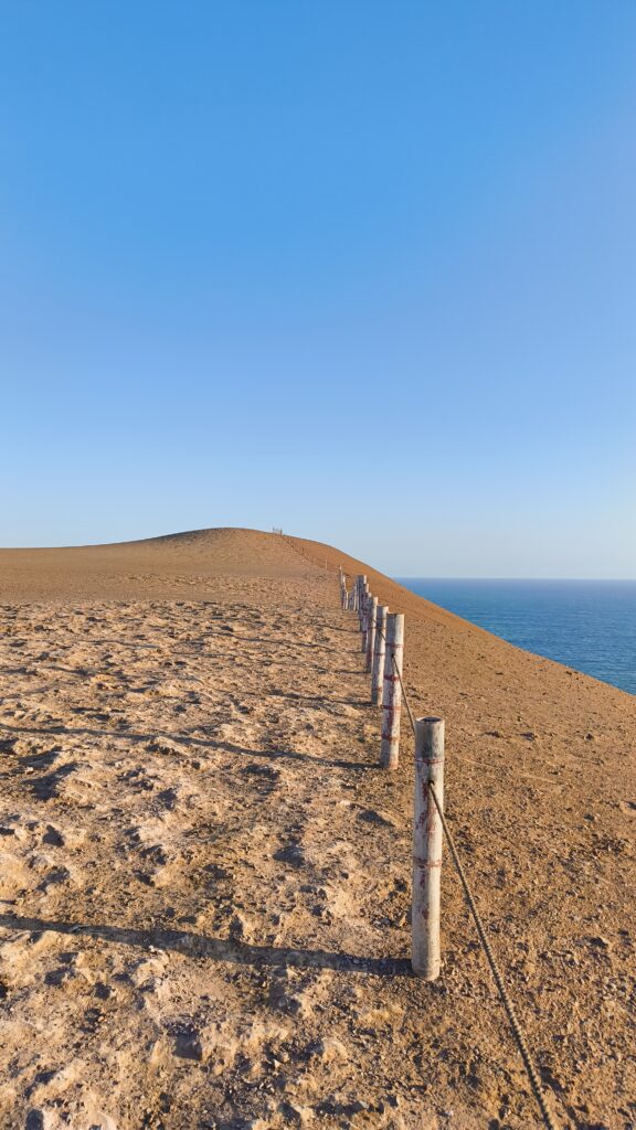 Paracas Wüstentour