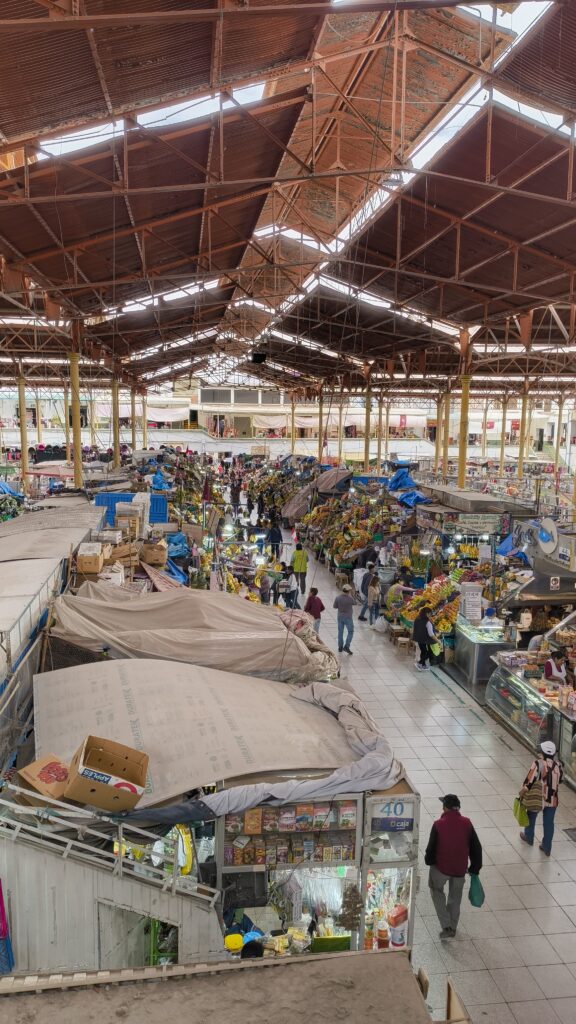 Mercado San Camilo
