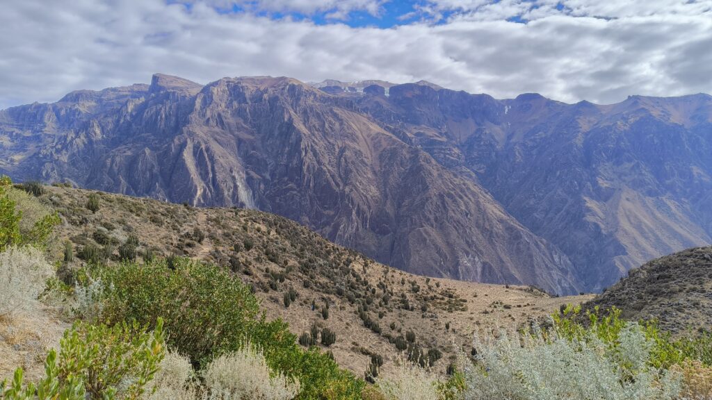 Colca Canyon Peru