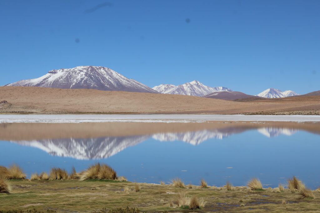 Laguna Colorada Bolivien