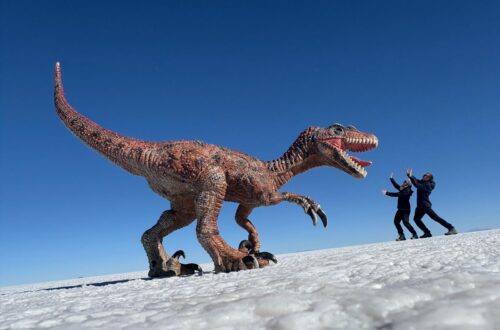 Salar de Uyuni Bolivien