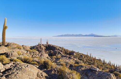 Isla Incahuasi Salar de Uyuni