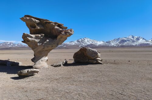 Arbol de Piedra Bolivien