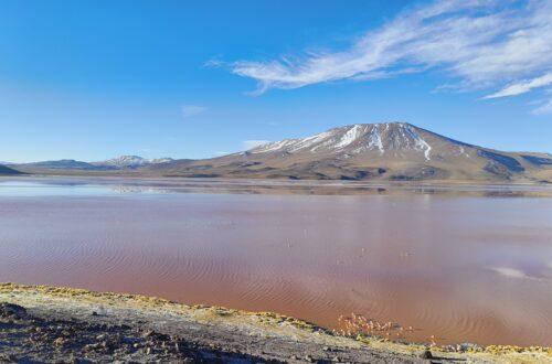 Laguna Colorada Bolivien Altiplano