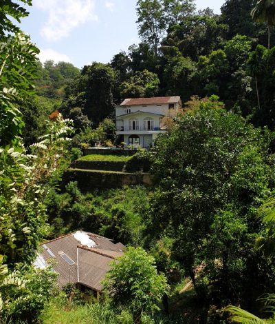 Forest Glenn Unterkunft Kandy Sri Lanka