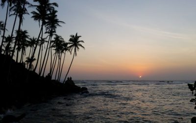Mirissa am Abend Sonnenuntergang Sri Lanka