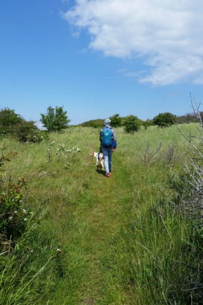 Wanderweg Trampelpfad nahe der Küste