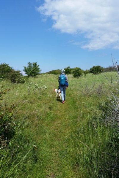 Wanderweg Trampelpfad nahe der Küste